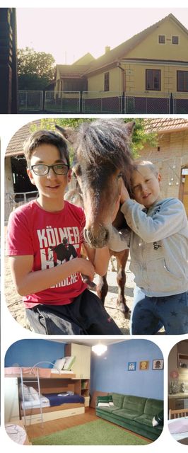 Póni Kuckó Vendégház és Minifarm Hosszúvölgy