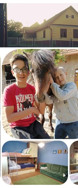 Póni Kuckó Vendégház és Minifarm Hosszúvölgy