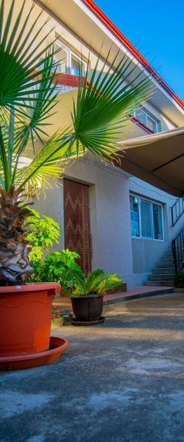 Vila Alexia Costineşti