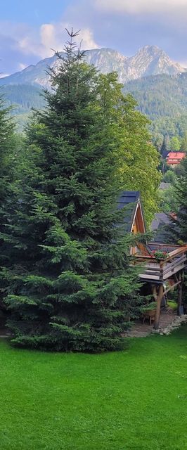 Domek Szałas Frankówka Kościelisko