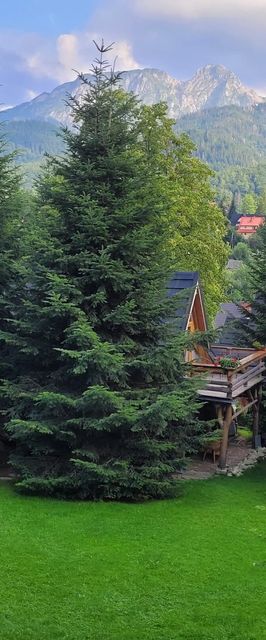 Domek Szałas Frankówka Kościelisko