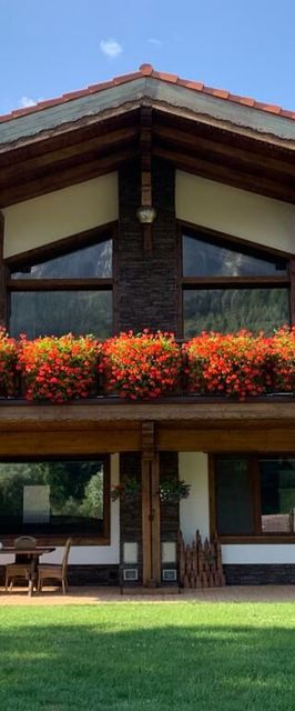 Apartamente Avalanche Zărneşti