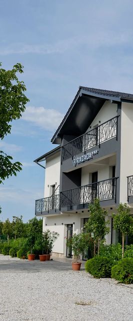 Pensiunea Razada Lugoj