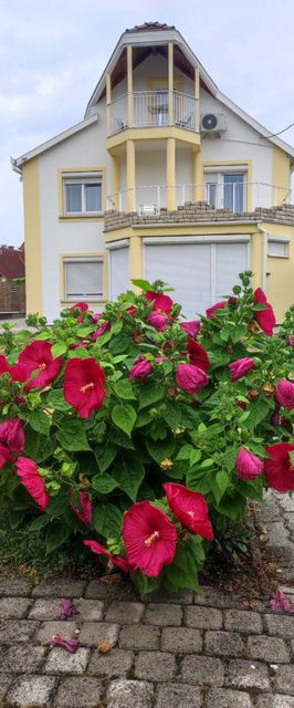 Villa Vanília Keszthely