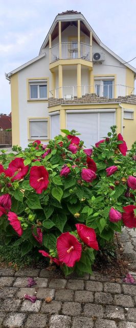 Villa Vanília Keszthely