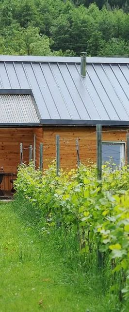 Agroturystyka i Winnica Granice Zgłobień, Rzeszów