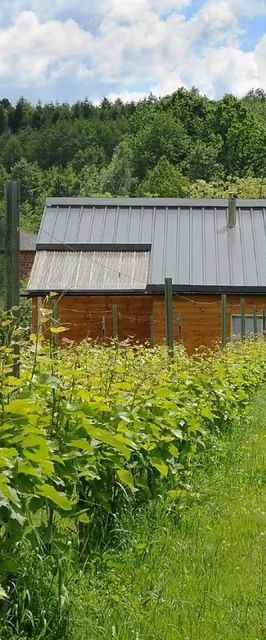 Agroturystyka i Winnica Granice Zgłobień, Rzeszów