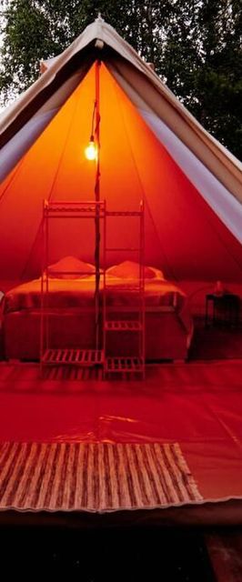 Pole Glampingowe Czyli Chill Nisko