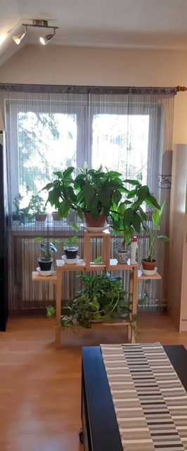 Tímea Apartman Budapest