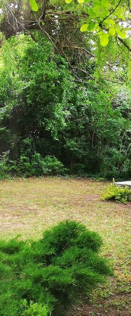 Csicsergő Vendégház Velence