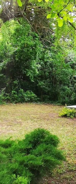 Csicsergő Vendégház Velence