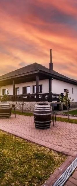 Pensiunea Domeniul Drăgași Călina