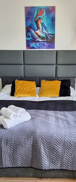 Jana Kazimierza 35/119