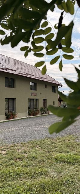 Casa David 13D Nimăiești