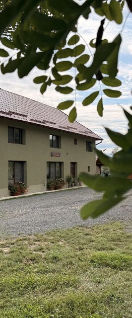 Casa David 13D Nimăiești