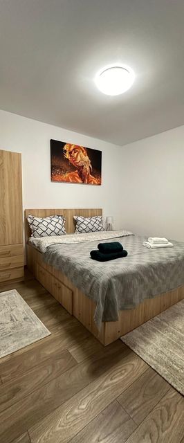 Alice Apartment Roman