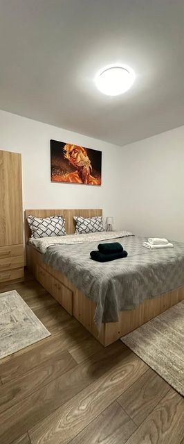 Alice Apartment Roman