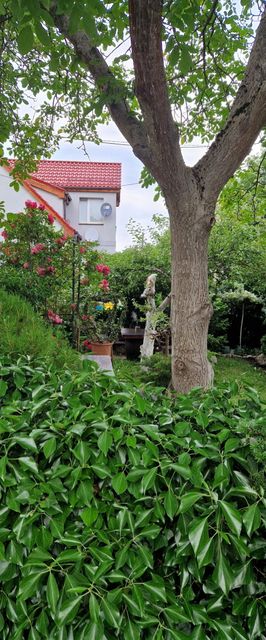 Pokoje  Międzyzdroje 