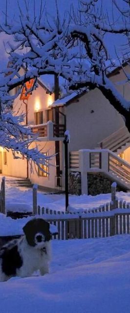 Casuta cu amintiri Câmpulung