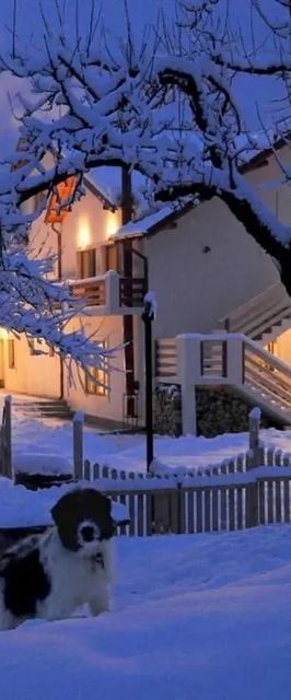 Casuta cu amintiri Câmpulung