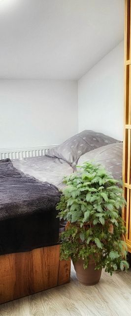 Apartamenty w Koszalinie