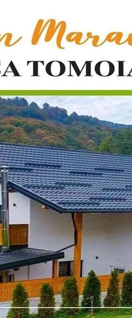 Casa Tomoiaga Vişeu de Sus