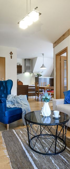 Apartamenty Jaszczurówka Bory