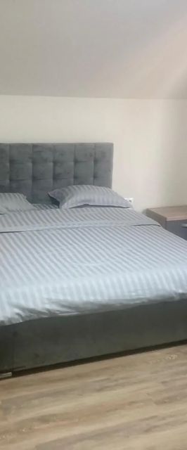 Complex victoriei Negresti oas 