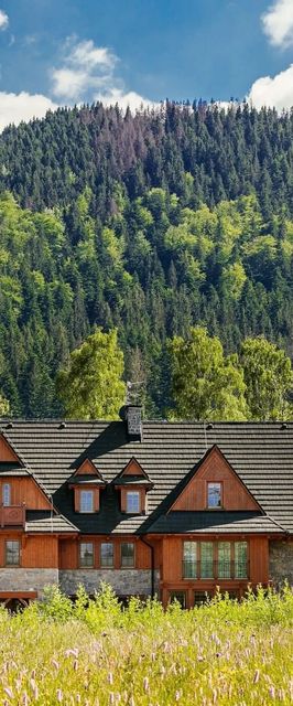 Jaszczurówka Bory 4A/A6^