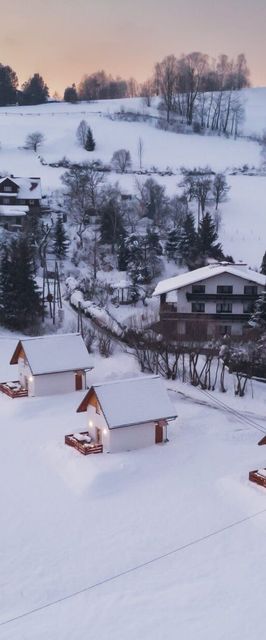 Partecznik 29/2 ApartView