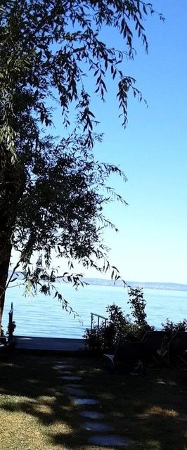 Világosi Part Vendégház Balatonvilágos