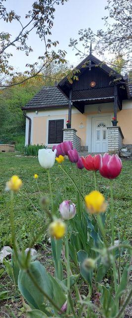 Bíbor Erdei Vendegház Kaposkeresztúr