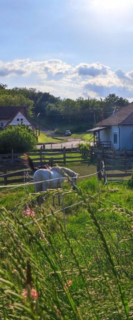 Ambrus Vendégház Izmény