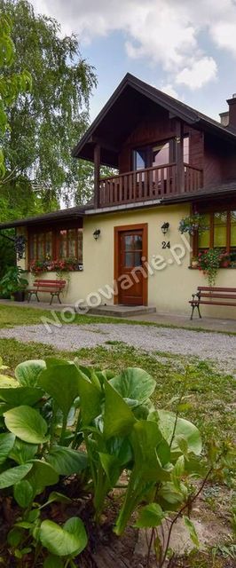 W Cieniu Świerka Kazimierz Dolny