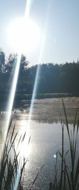 Pokoje Na Stawach Stryszów