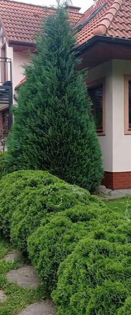 Apartamenty Brzozowe Zacisze Duszniki-Zdrój
