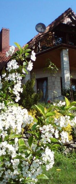 Jaworowy Stok Jugów