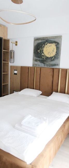 Q Business Apartment Timișoara