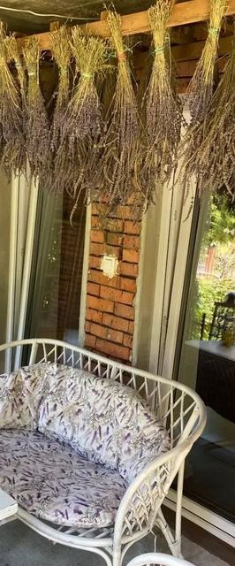 Lawendowa Przystań Sandomierz