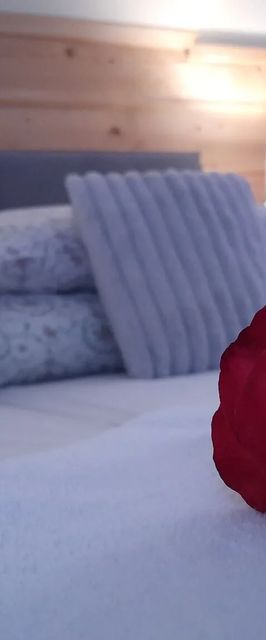 Ambrozja Białka Tatrzańska