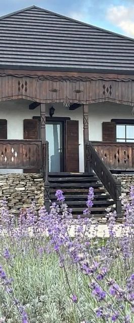 Căsuța de pe Dealul Cojocului 