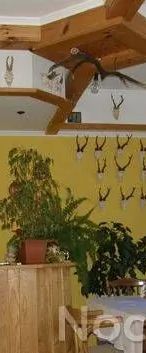 Agroturystyka u Kowala Solina