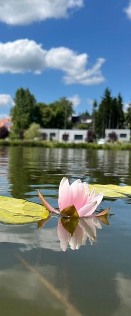 Tópart Apartmanok Nagylengyel