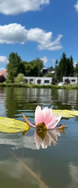 Tópart Apartmanok Nagylengyel