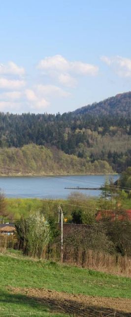 Domek Pod Pliszem Polańczyk