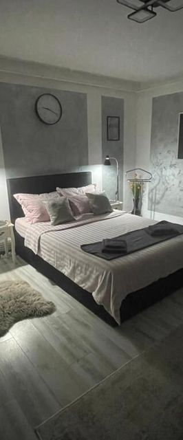 Luxury Central Studio Hunedoara