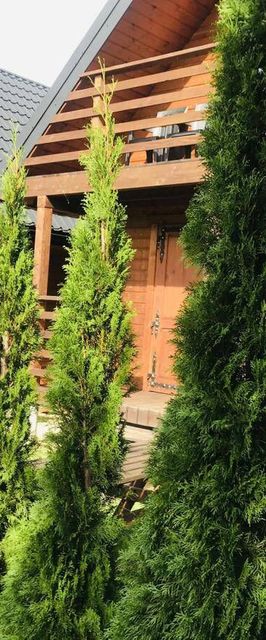 Boso po Rosie Domki Bieszczadzkie Polańczyk