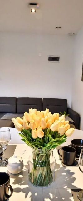 Apart-house Uniejów