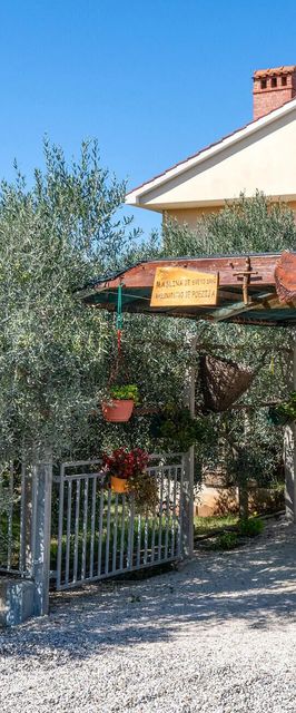 Apartman Fažana - CIF029