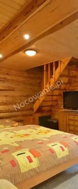 Leśna Odnowa Borków, Kielce